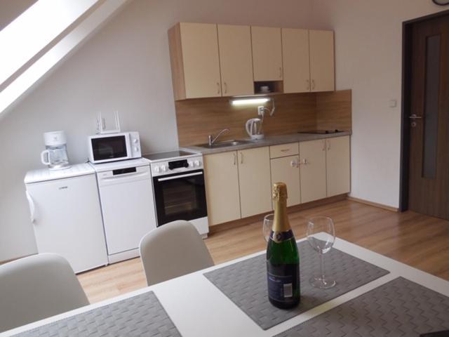 Apartman Kamenice Kamenice nad Lipou Ngoại thất bức ảnh