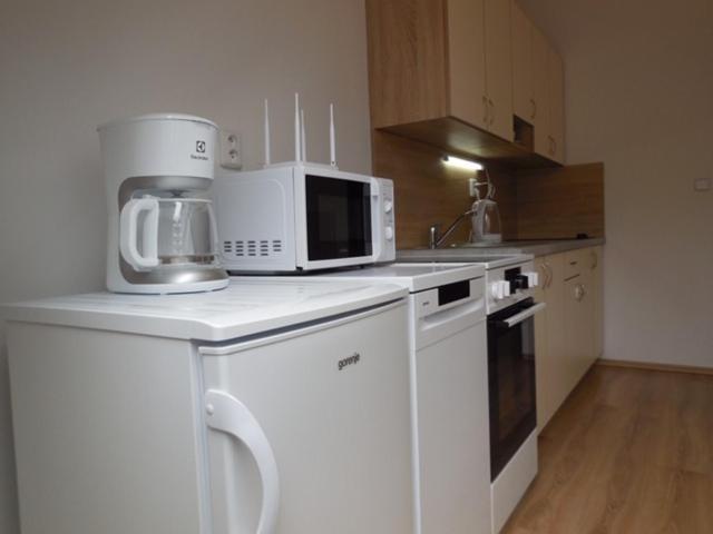 Apartman Kamenice Kamenice nad Lipou Ngoại thất bức ảnh